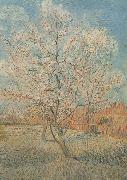 Vincent Van Gogh Peach Tree in Blossom (nn040